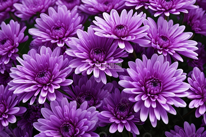 高清大图下载【趣麦麦图】航拍绿色农田全景