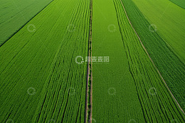 深蓝色褶皱窗帘背景
