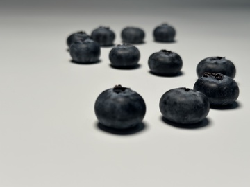 简约蓝莓摄影图片