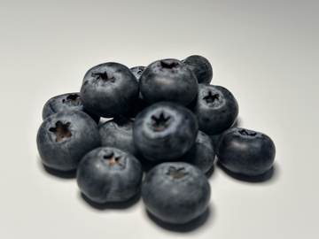 简约蓝莓水果摄影
