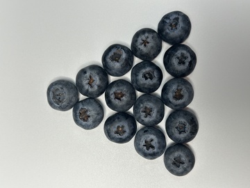 简约蓝莓静物摄影