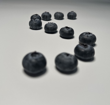 简约蓝莓静物摄影