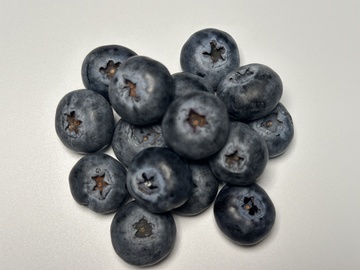 新鲜蓝莓特写摄影