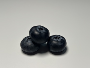 简约蓝莓水果静物摄影