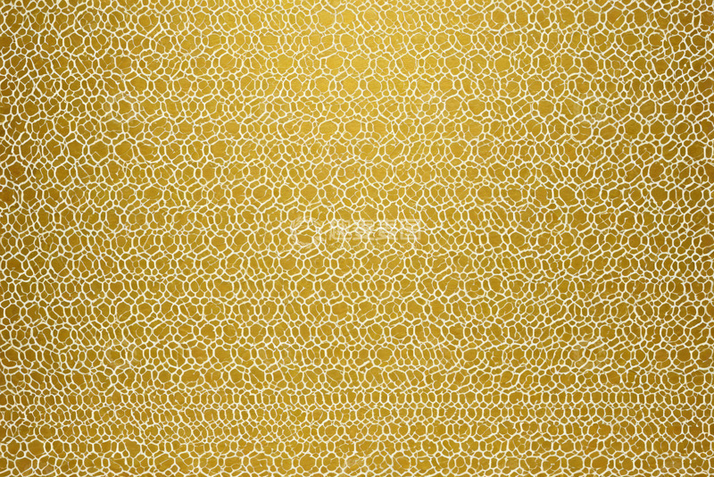 高清大图下载【趣麦麦图】金色纹理背景图案