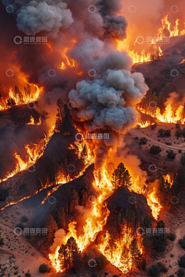 山林森林火灾俯瞰场景