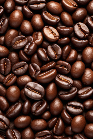 咖啡豆特写素材