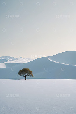 沙漠中孤树与远山风景