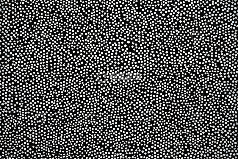 高清大图下载【趣麦麦图】黑白点状抽象图案素材