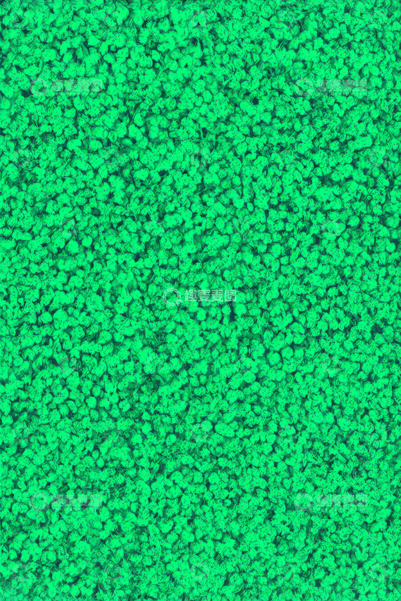高清大图下载【趣麦麦图】绿色颗粒状纹理背景