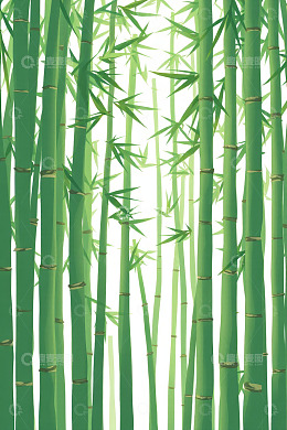 绿色竹林插画素材