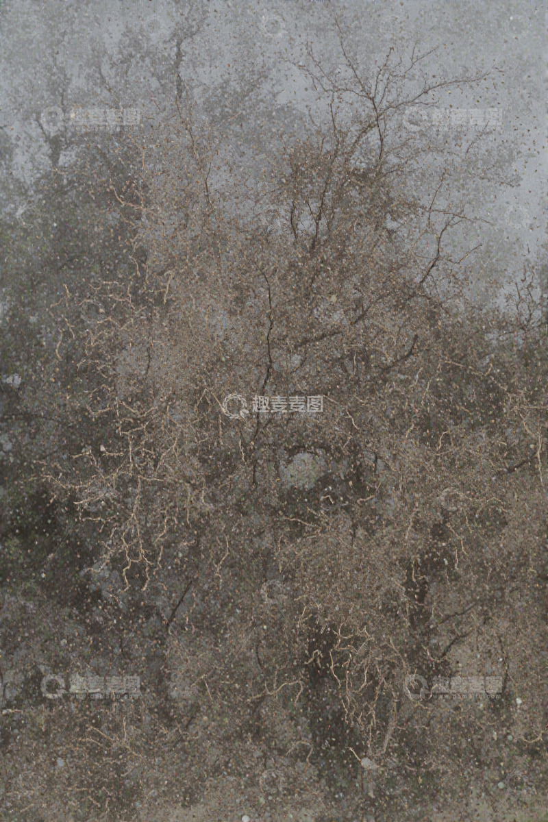 高清大图下载【趣麦麦图】树木倒影纹理景观