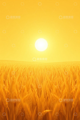 金黄麦田与落日景象