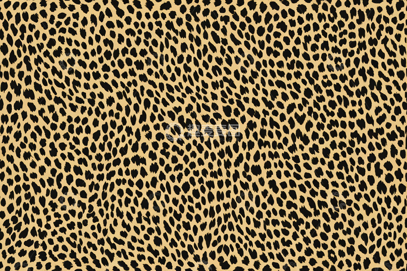 高清大图下载【趣麦麦图】豹纹图案背景纹理素材