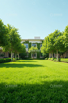 绿植环绕的庭院草坪景观