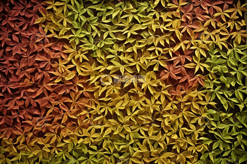 高清大图下载【趣麦麦图】五彩斑斓树叶背景纹理
