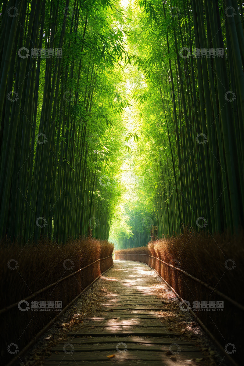 高清大图下载【趣麦麦图】竹林间的木质小径风景