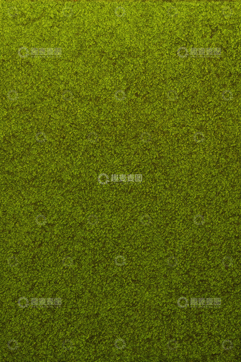 高清大图下载【趣麦麦图】绿色植物背景纹理素材