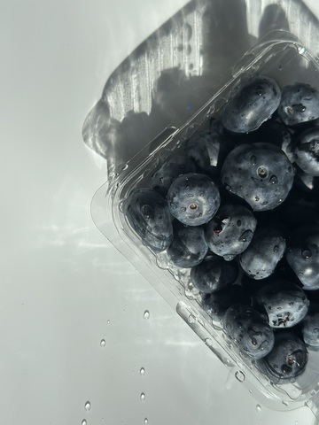 透明盒蓝莓特写摄影