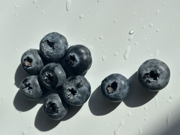 清新蓝莓水滴静物摄影