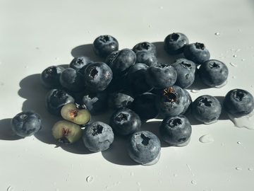 蓝莓特写摄影作品