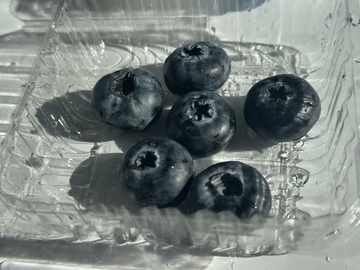 透明容器蓝莓特写