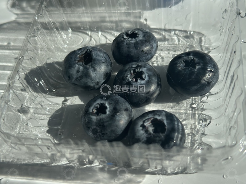 高清大图下载【趣麦麦图】透明容器蓝莓特写