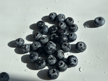 蓝莓水滴静物摄影