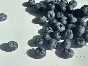 蓝莓特写摄影图片