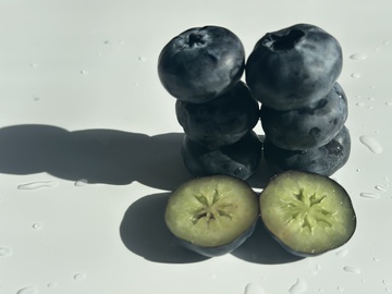 新鲜蓝莓特写摄影图片