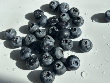 新鲜蓝莓水滴摄影