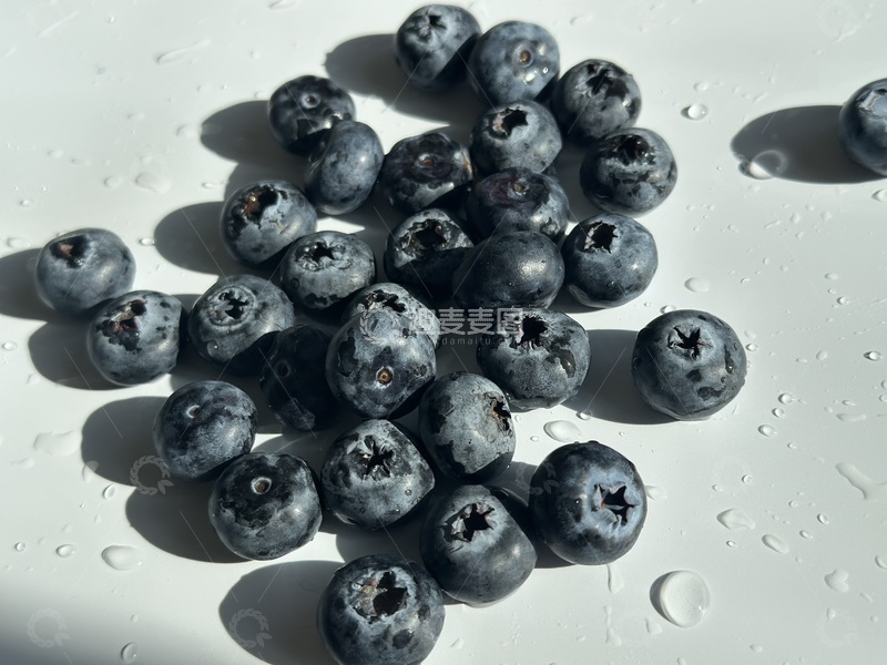 高清大图下载【趣麦麦图】新鲜蓝莓水滴摄影