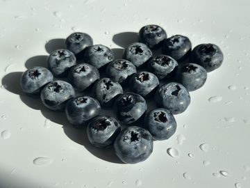 清新蓝莓水滴摄影