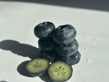 光影蓝莓特写摄影