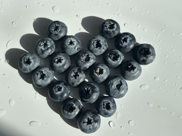 蓝莓水滴静物摄影1