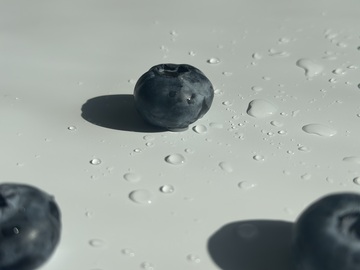 静谧蓝莓水滴摄影