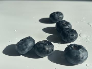 蓝莓水滴静物摄影