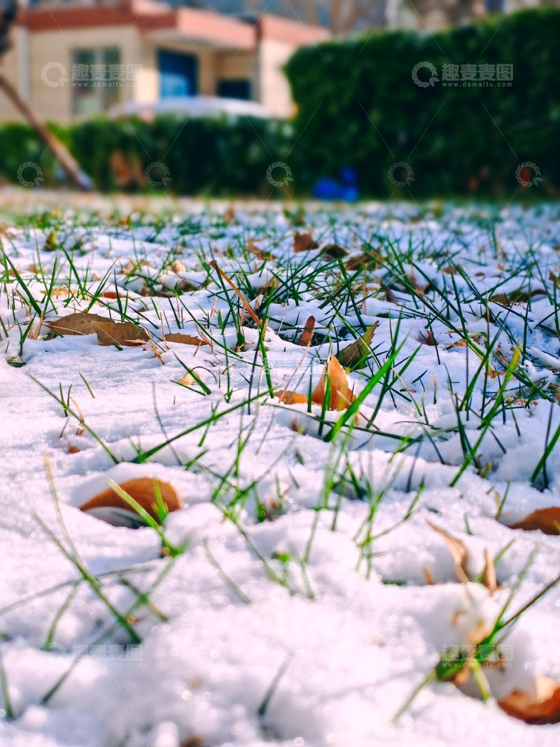 高清大图下载【趣麦麦图】-冬日初雪草地景观