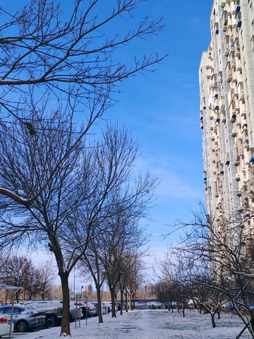 冬日城市街景雪景摄影