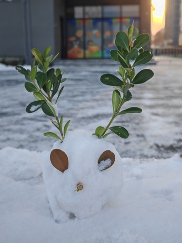 雪人绿植趣味冬季景观