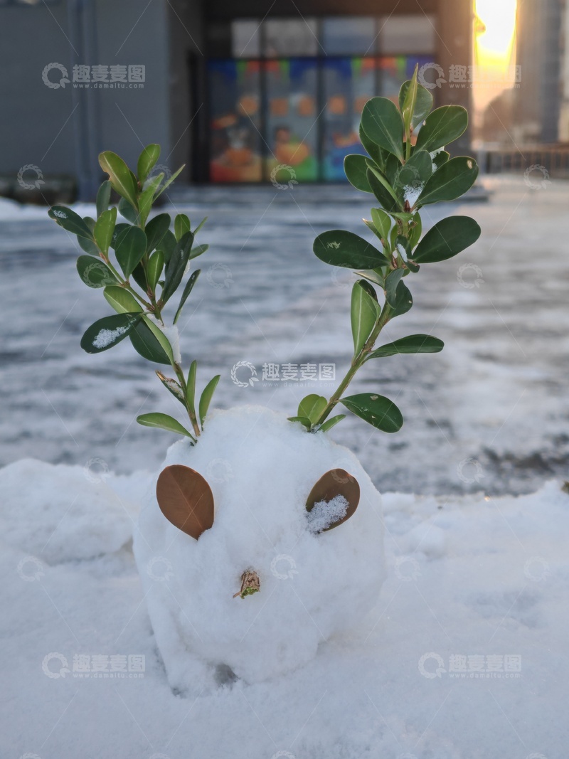高清大图下载【趣麦麦图】-雪人绿植趣味冬季景观