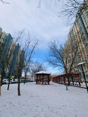 冬日城市公园雪景
