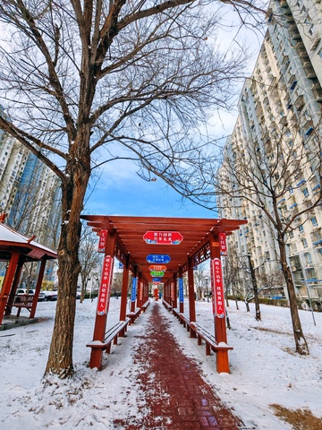 雪景长廊城市公园
