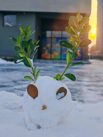 雪人创意绿植装饰冬季趣味