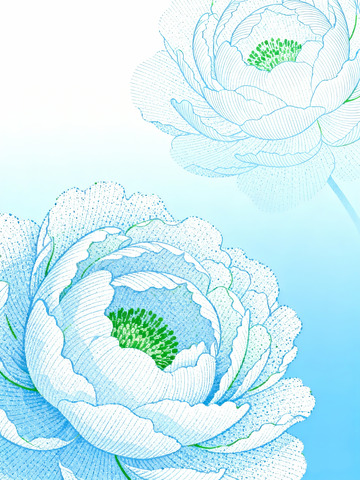 线描牡丹艺术插画