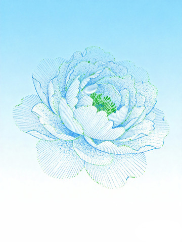 线条艺术牡丹图案设计