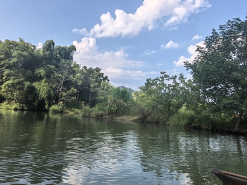 静谧河流绿树成荫自然风光