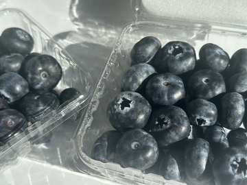透明盒蓝莓新鲜水果