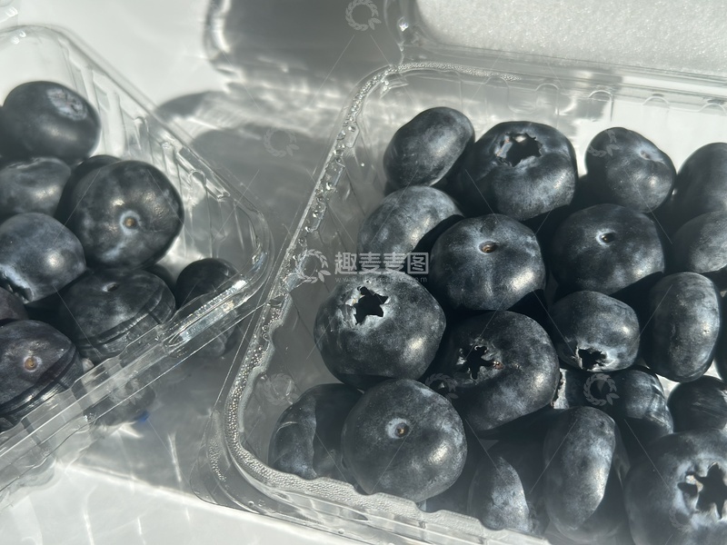 高清大图下载【趣麦麦图】透明盒蓝莓新鲜水果
