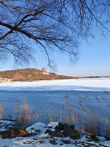 冬日雪景湖水树枝